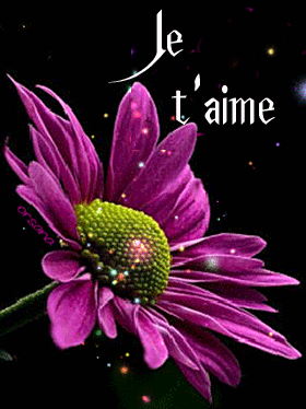Gif animé je t'aime